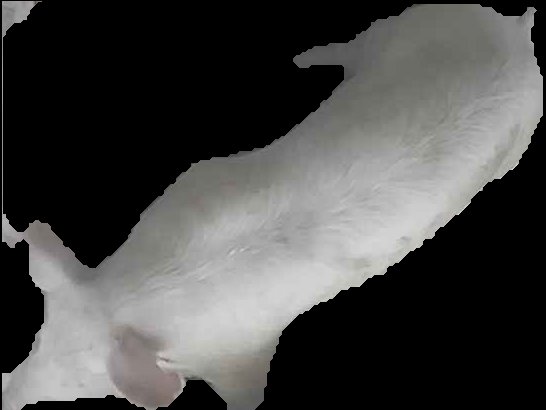 Crop