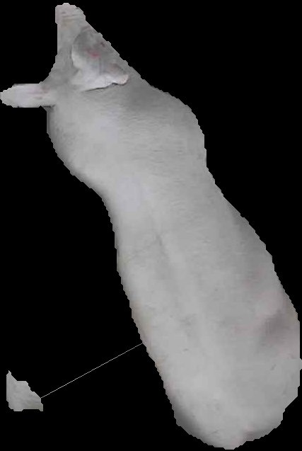 Crop