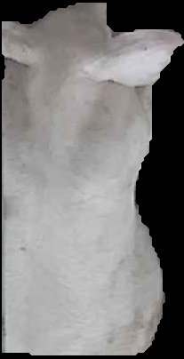 Crop