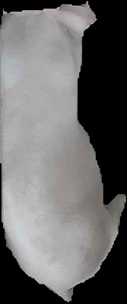 Crop