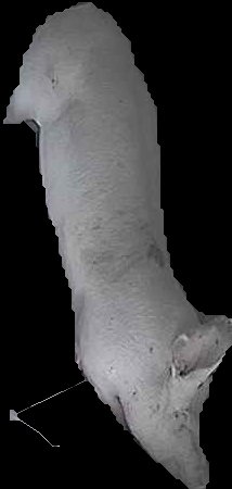 Crop