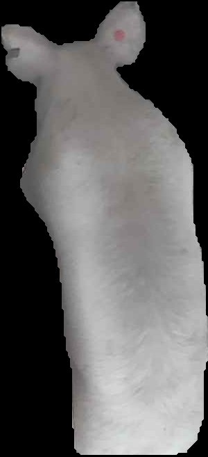 Crop