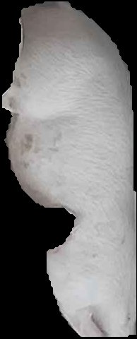 Crop