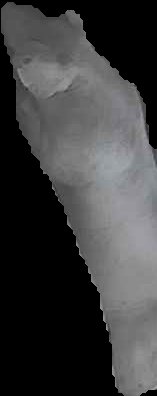 Crop
