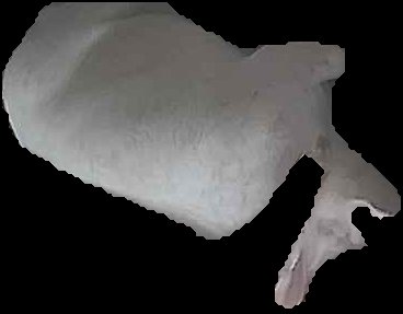 Crop