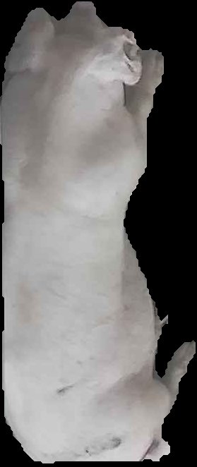 Crop
