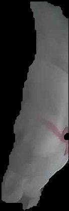 Crop