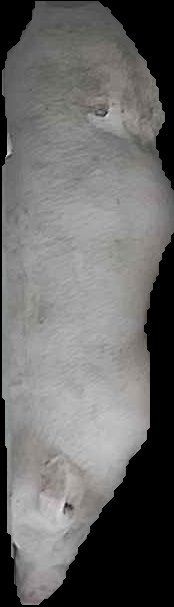 Crop