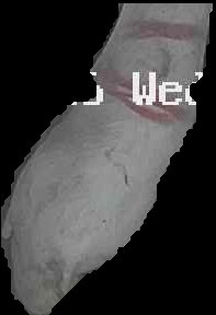 Crop