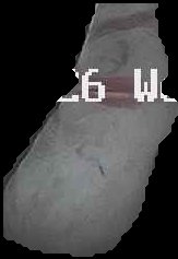 Crop