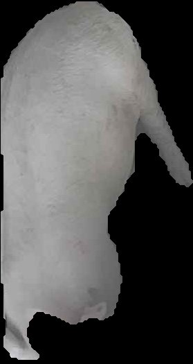 Crop