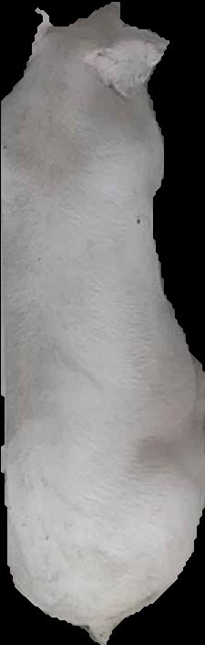 Crop