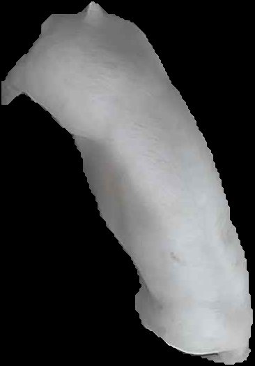 Crop