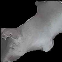 Crop
