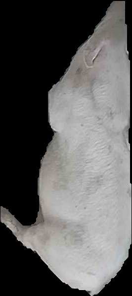 Crop