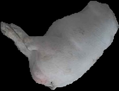 Crop