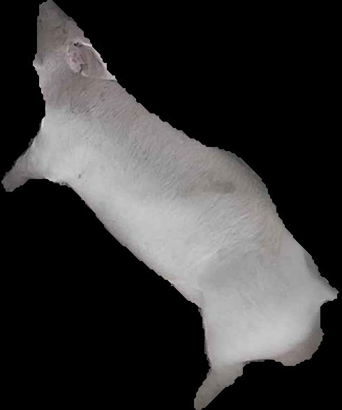 Crop