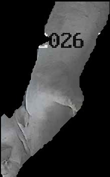 Crop