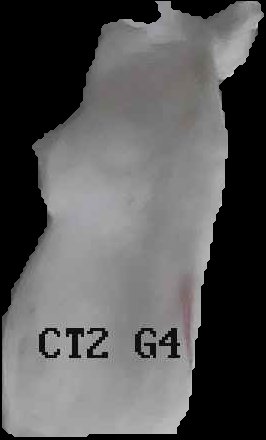 Crop