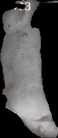 Crop