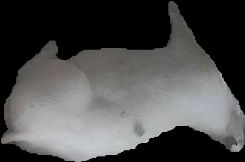Crop