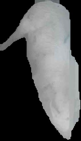 Crop