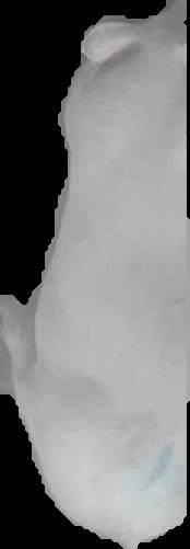 Crop