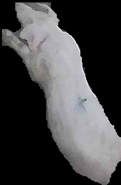 Crop