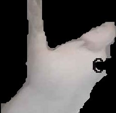 Crop