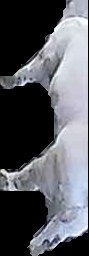 Crop