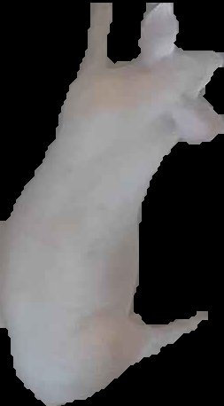 Crop