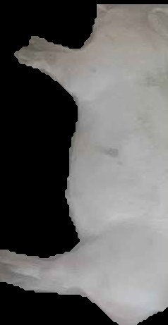 Crop