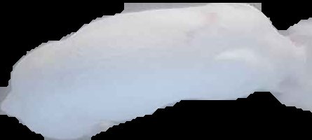 Crop