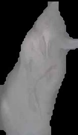 Crop