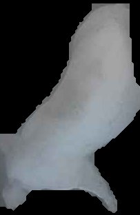Crop