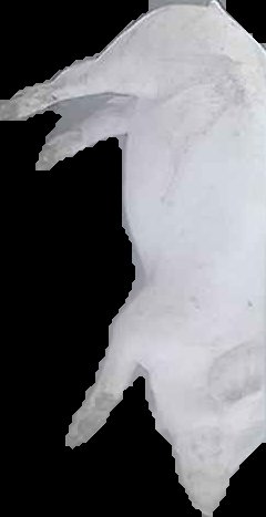 Crop