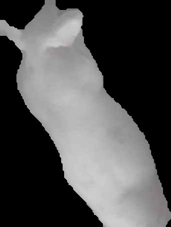 Crop