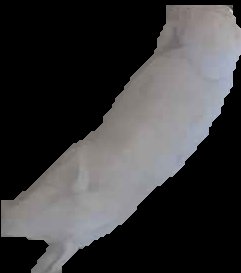 Crop