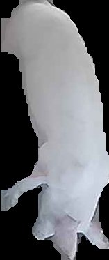 Crop