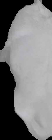 Crop