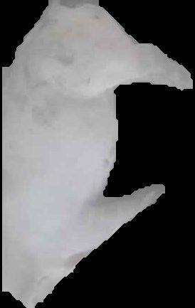 Crop