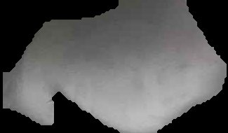 Crop