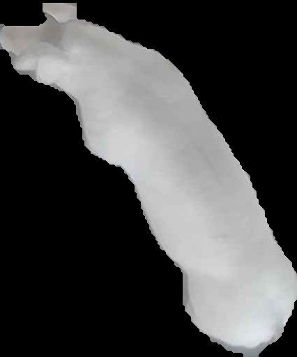Crop