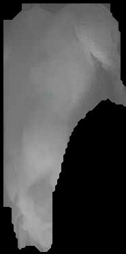 Crop
