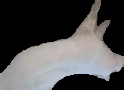 Crop