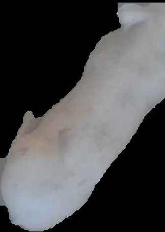 Crop