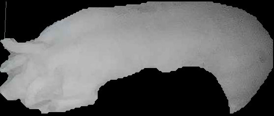 Crop