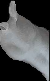 Crop