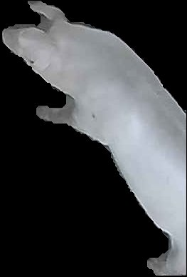 Crop