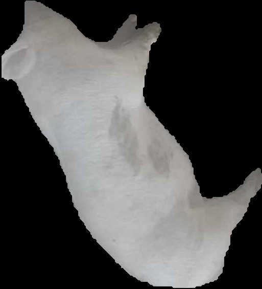 Crop